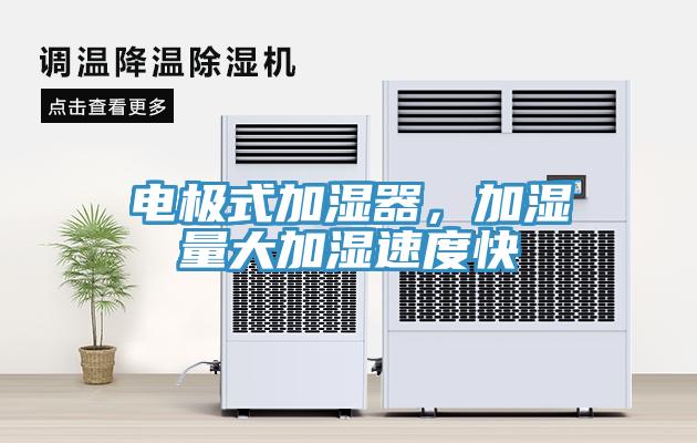 電極式加濕器，加濕量大加濕速度快