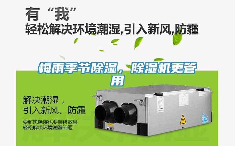 梅雨季節(jié)除濕，除濕機更管用