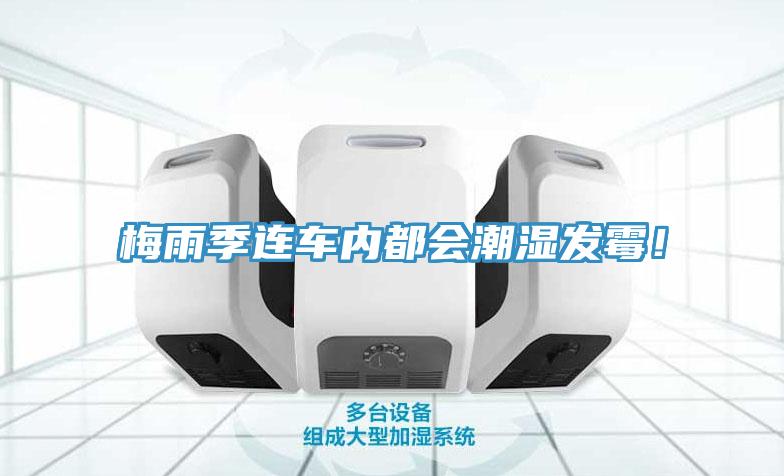 梅雨季連車內都會潮濕發霉！