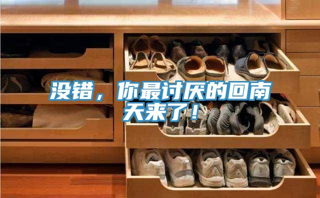 沒錯，你最討厭的回南天來了！