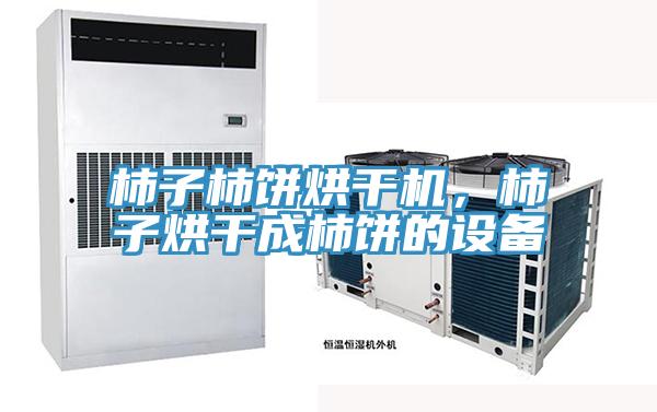 柿子柿餅烘干機，柿子烘干成柿餅的設備