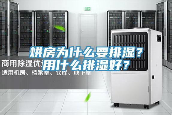 烘房為什么要排濕？用什么排濕好？