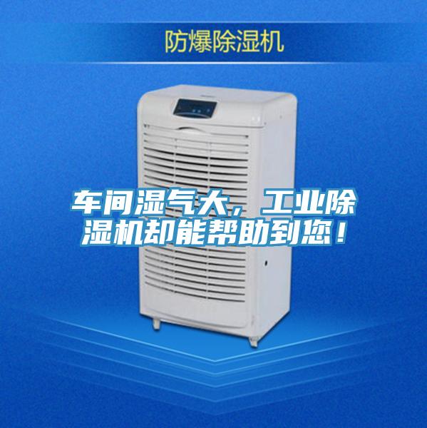 車間濕氣大，工業除濕機卻能幫助到您！