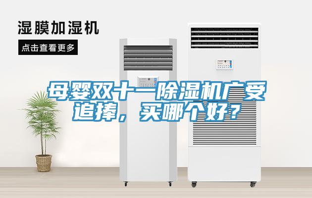 母嬰雙十一除濕機(jī)廣受追捧，買哪個好？