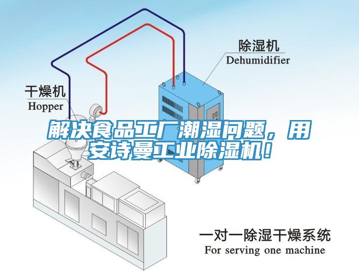 解決食品工廠潮濕問題，用安詩(shī)曼工業(yè)除濕機(jī)！