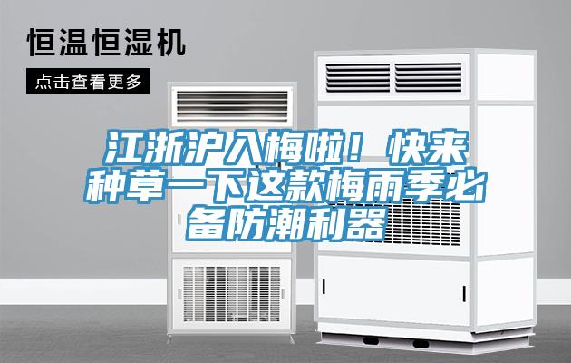 江浙滬入梅啦！快來種草一下這款梅雨季必備防潮利器