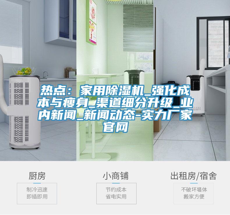 熱點：家用除濕機_強化成本與瘦身_渠道細分升級_業(yè)內新聞_新聞動態(tài)-實力廠家官網(wǎng)
