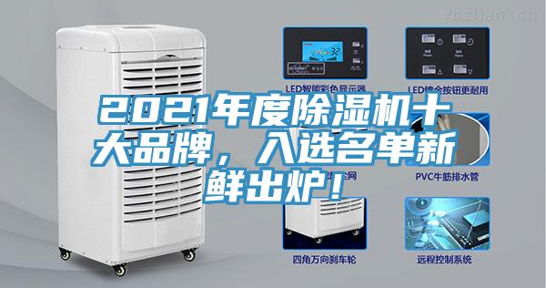 2021年度除濕機(jī)十大品牌，入選名單新鮮出爐！