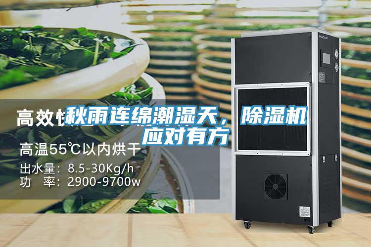 秋雨連綿潮濕天，除濕機應對有方