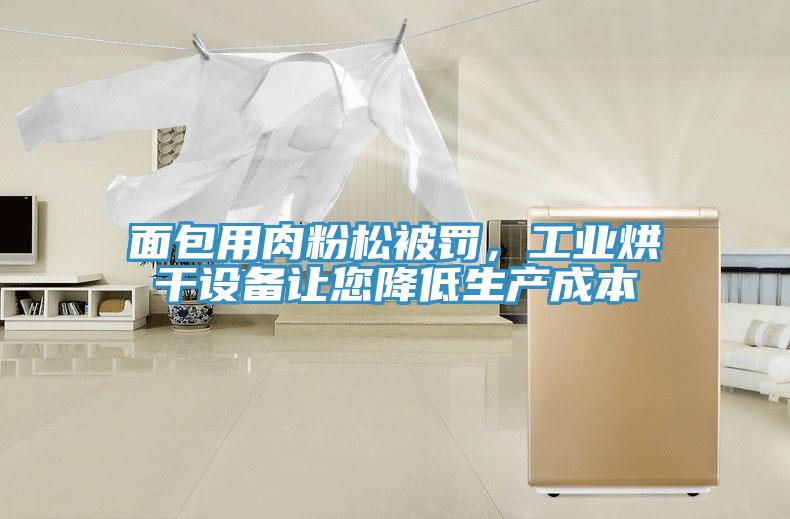 面包用肉粉松被罰，工業(yè)烘干設備讓您降低生產(chǎn)成本
