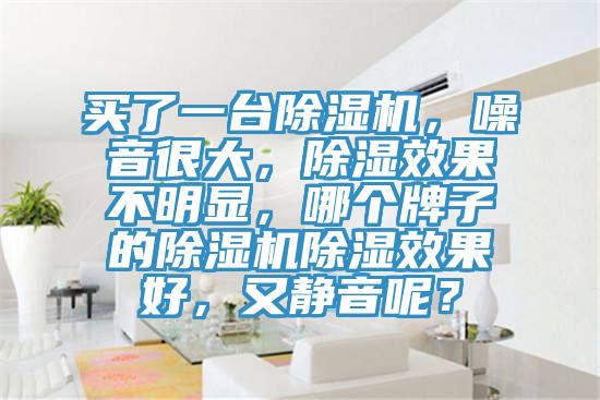 買了一臺除濕機，噪音很大，除濕效果不明顯，哪個牌子的除濕機除濕效果好，又靜音呢？