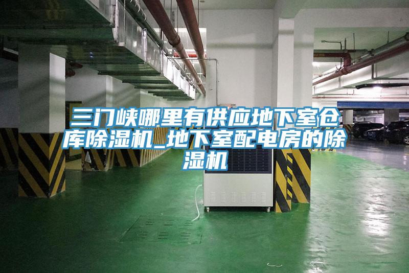 三門峽哪里有供應(yīng)地下室倉(cāng)庫(kù)除濕機(jī)_地下室配電房的除濕機(jī)