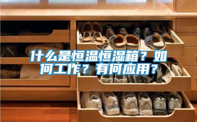 什么是恒溫恒濕箱？如何工作？有何應用？