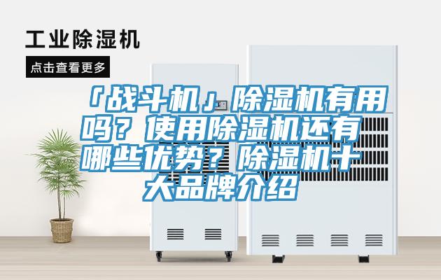 「戰斗機」除濕機有用嗎？使用除濕機還有哪些優勢？除濕機十大品牌介紹