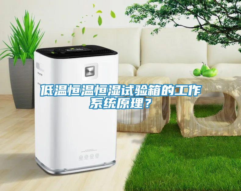 低溫恒溫恒濕試驗箱的工作系統(tǒng)原理？