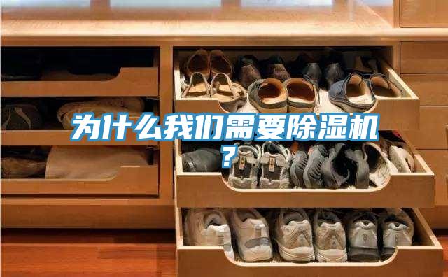 為什么我們需要除濕機？