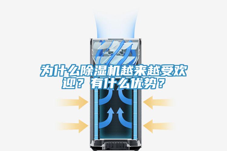 為什么除濕機越來越受歡迎？有什么優勢？
