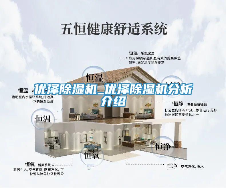 優澤除濕機_優澤除濕機分析介紹