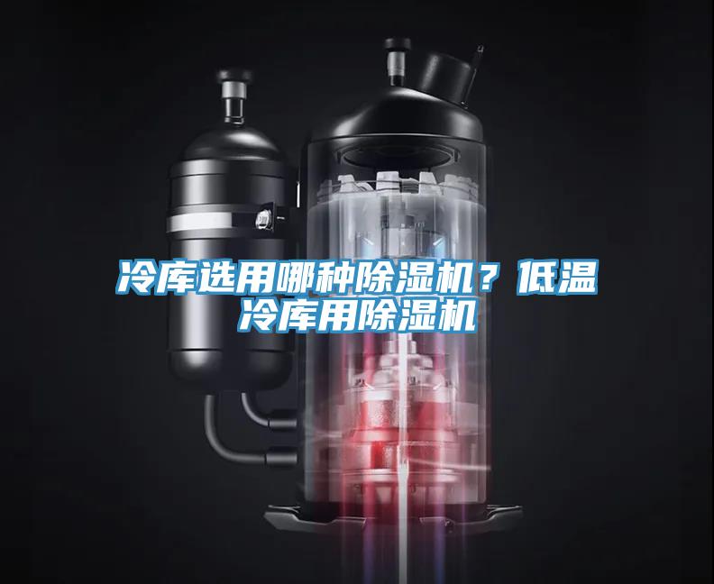 冷庫選用哪種除濕機(jī)？低溫冷庫用除濕機(jī)
