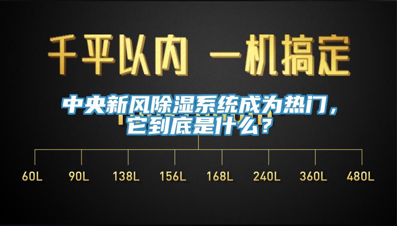 中央新風除濕系統成為熱門，它到底是什么？