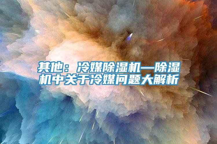 其他：冷媒除濕機(jī)—除濕機(jī)中關(guān)于冷媒問(wèn)題大解析