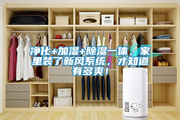 凈化+加濕+除濕一體，家里裝了新風系統，才知道有多爽！