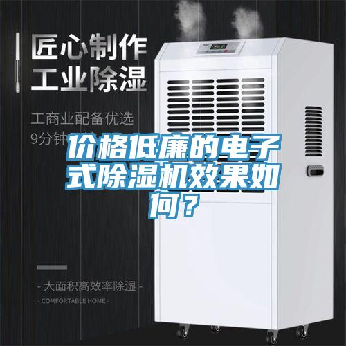 價格低廉的電子式除濕機效果如何？