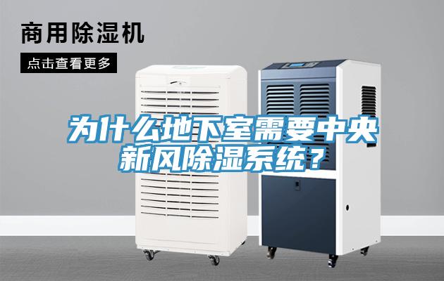 為什么地下室需要中央新風除濕系統？