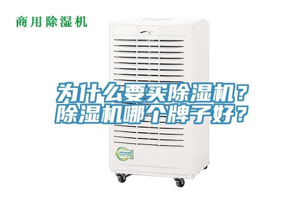 為什么要買除濕機？除濕機哪個牌子好？