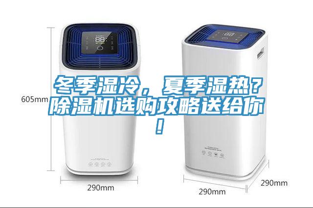 冬季濕冷，夏季濕熱？除濕機選購攻略送給你！