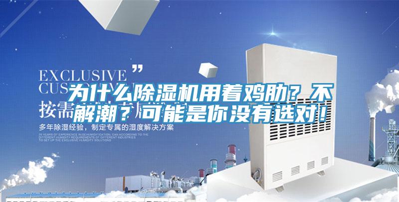 為什么除濕機用著雞肋？不解潮？可能是你沒有選對！
