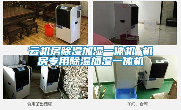 云機(jī)房除濕加濕一體機(jī) 機(jī)房專(zhuān)用除濕加濕一體機(jī)