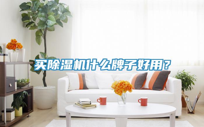 買除濕機什么牌子好用？