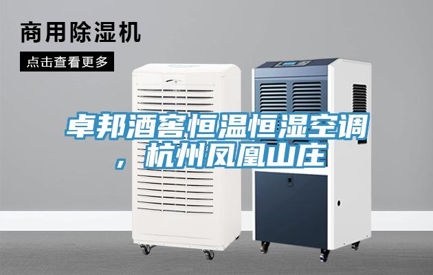 卓邦酒窖恒溫恒濕空調(diào)，杭州鳳凰山莊