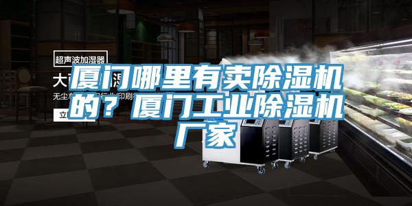 廈門哪里有賣除濕機的？廈門工業除濕機廠家
