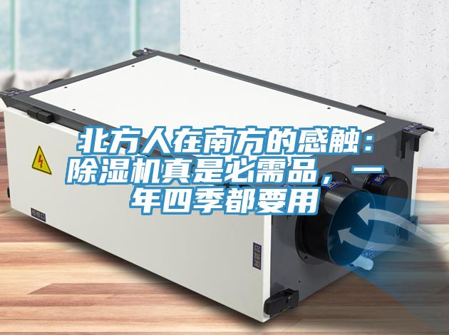北方人在南方的感觸：除濕機真是必需品，一年四季都要用