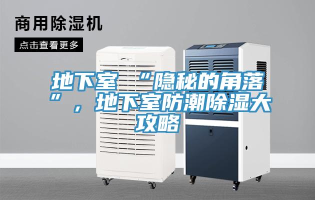 地下室≠“隱秘的角落”，地下室防潮除濕大攻略