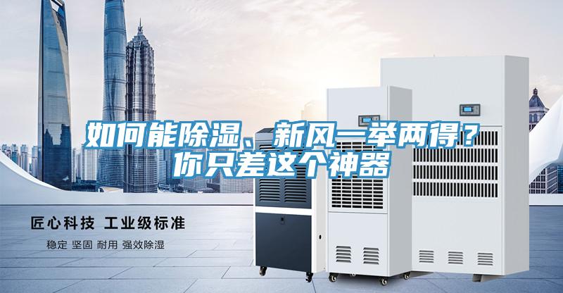 如何能除濕、新風一舉兩得？你只差這個神器