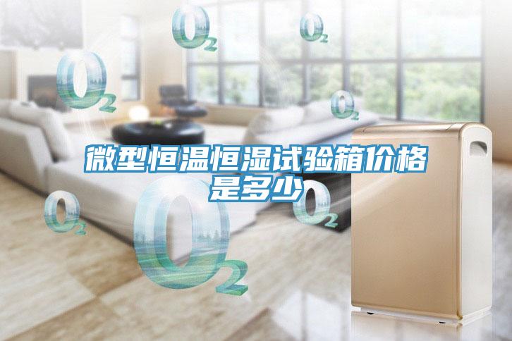 微型恒溫恒濕試驗(yàn)箱價格是多少