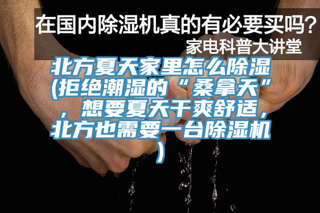 北方夏天家里怎么除濕(拒絕潮濕的“桑拿天”，想要夏天干爽舒適，北方也需要一臺除濕機)