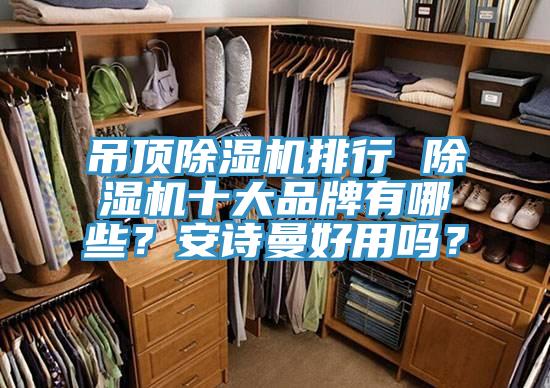 吊頂除濕機(jī)排行 除濕機(jī)十大品牌有哪些？安詩曼好用嗎？