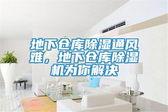 地下倉庫除濕通風(fēng)難，地下倉庫除濕機(jī)為你解決