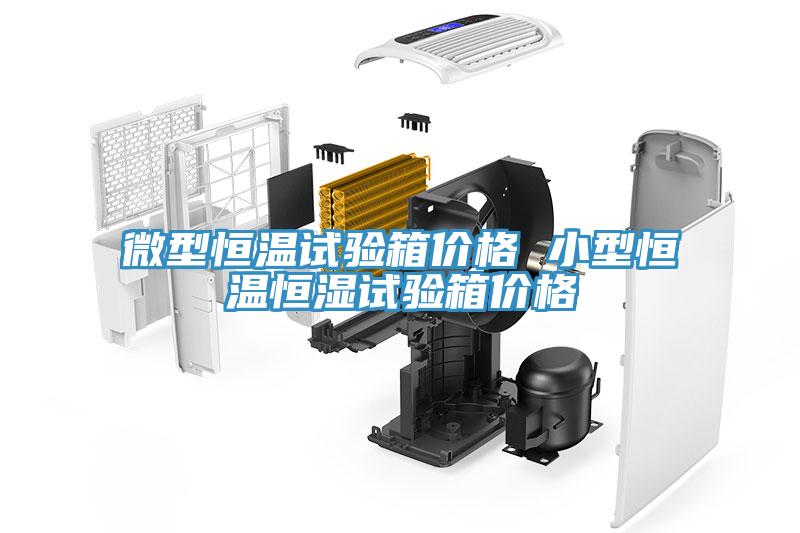 微型恒溫試驗(yàn)箱價格 小型恒溫恒濕試驗(yàn)箱價格