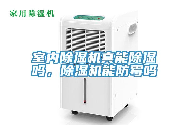 室內除濕機真能除濕嗎，除濕機能防霉嗎