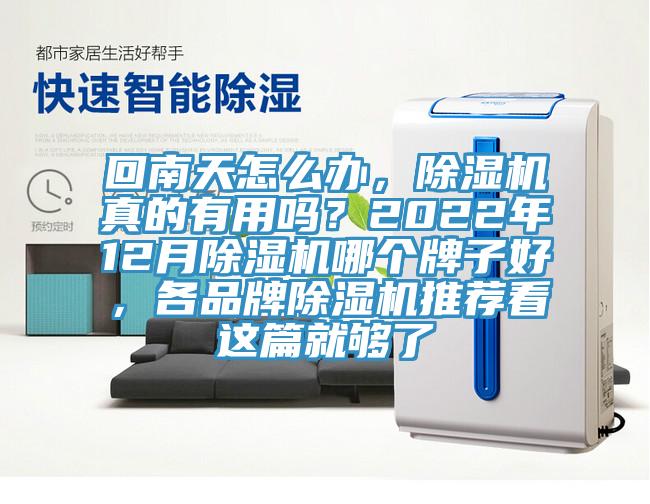 回南天怎么辦，除濕機真的有用嗎？2022年12月除濕機哪個牌子好，各品牌除濕機推薦看這篇就夠了