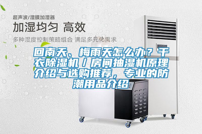 回南天、梅雨天怎么辦？干衣除濕機(jī)／房間抽濕機(jī)原理介紹與選購?fù)扑]，專業(yè)的防潮用品介紹
