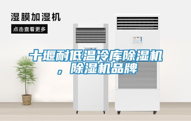 十堰耐低溫冷庫除濕機，除濕機品牌