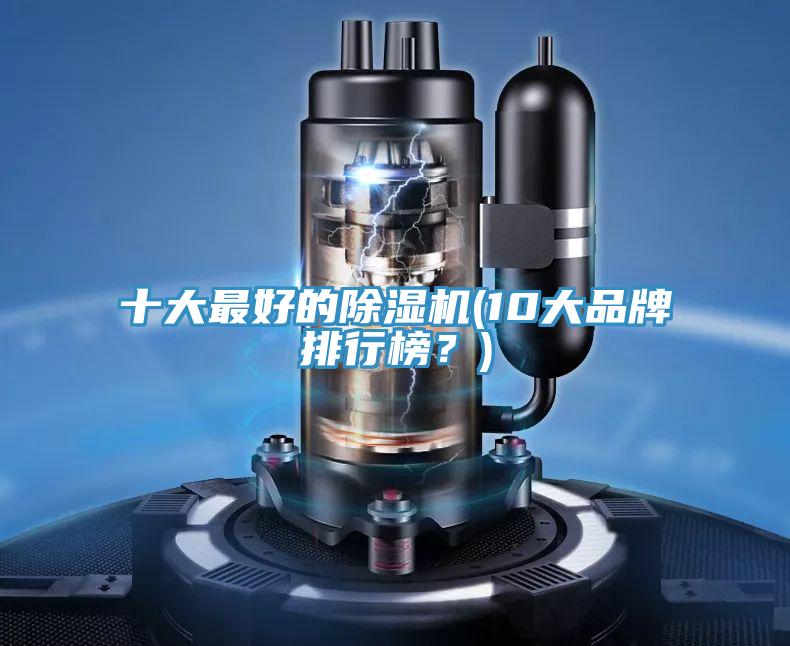 十大最好的除濕機(10大品牌排行榜？)
