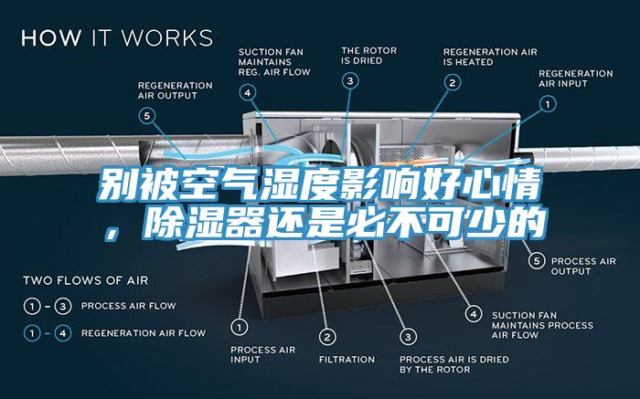 別被空氣濕度影響好心情，除濕器還是必不可少的