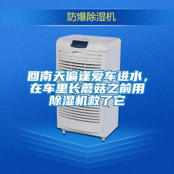 回南天偏逢愛車進(jìn)水，在車?yán)镩L蘑菇之前用除濕機(jī)救了它